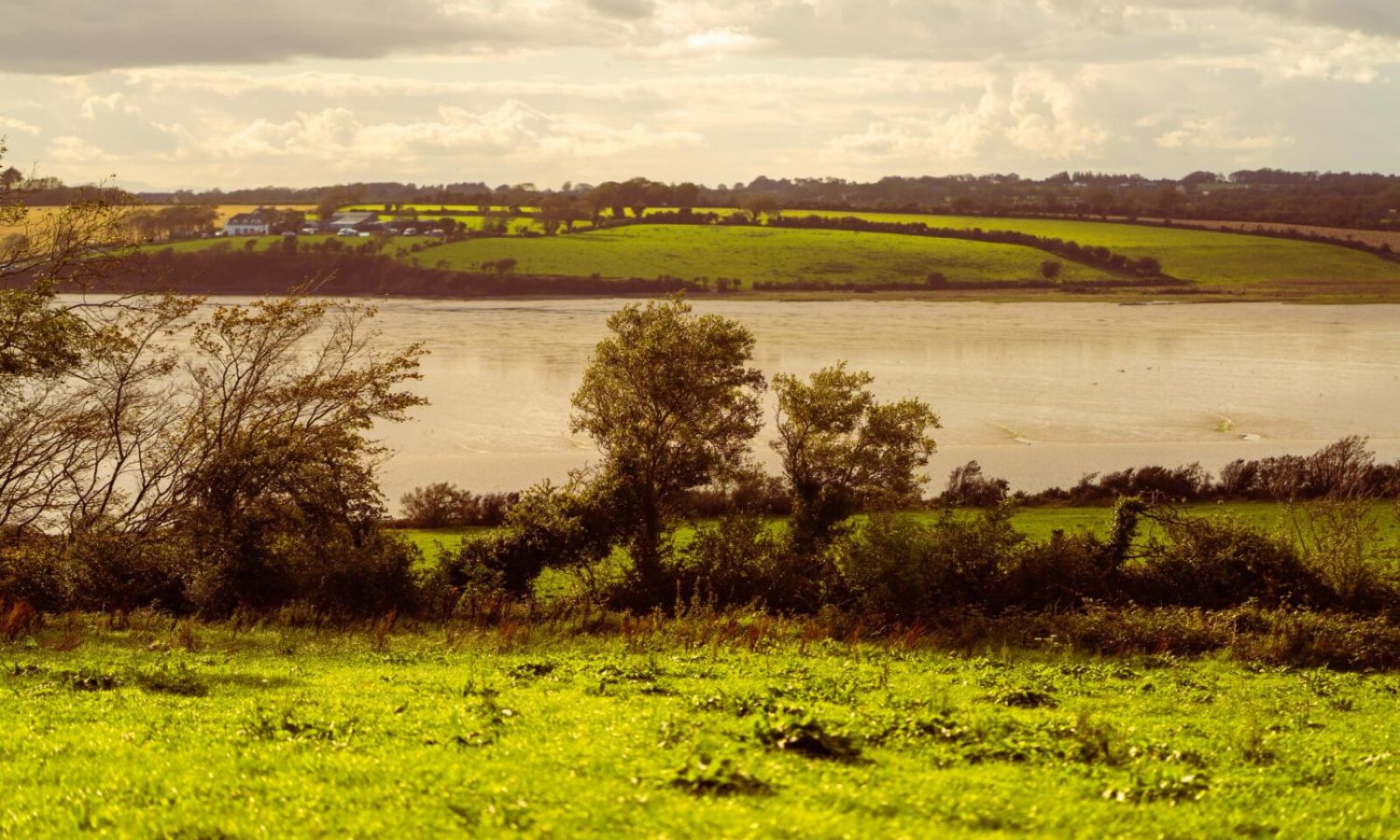 Ceadogan-PR-September-2020-WEB-9