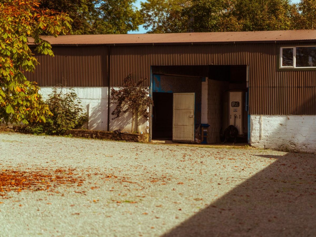 Ceadogan-Process-2020-WEB-17